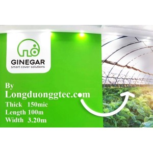 Màng Nhà Kính Ginegar Israel Khổ 3.2m*100m